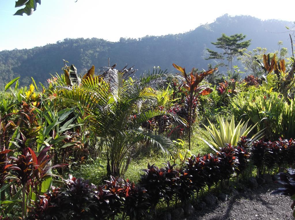 The Bukit Artha Bed & Breakfast Sidemen  Bagian luar foto