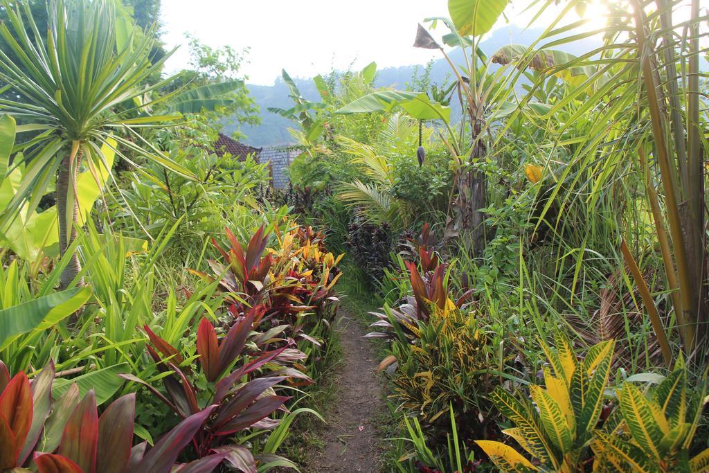 The Bukit Artha Bed & Breakfast Sidemen  Bagian luar foto
