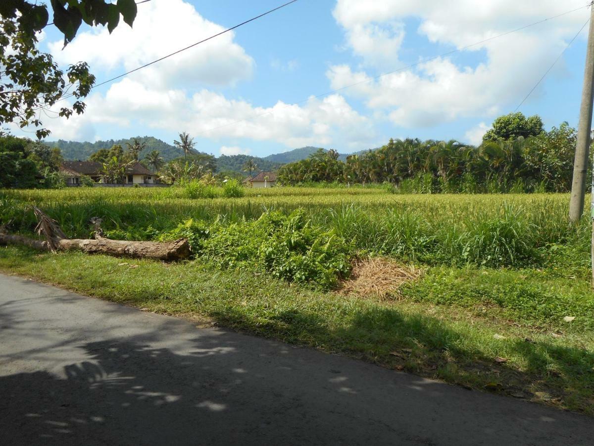 The Bukit Artha Bed & Breakfast Sidemen  Bagian luar foto