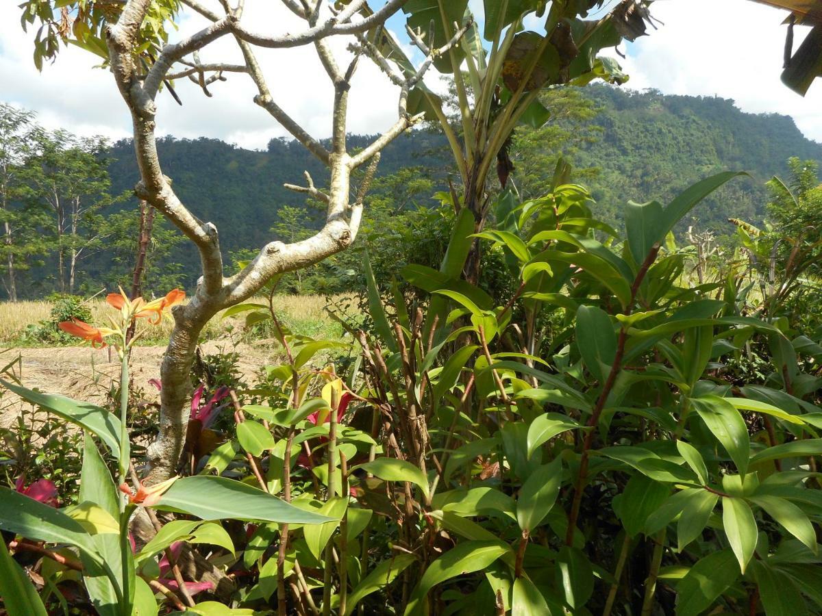 The Bukit Artha Bed & Breakfast Sidemen  Bagian luar foto