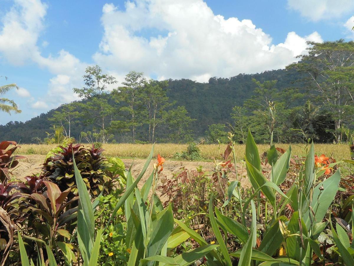 The Bukit Artha Bed & Breakfast Sidemen  Bagian luar foto