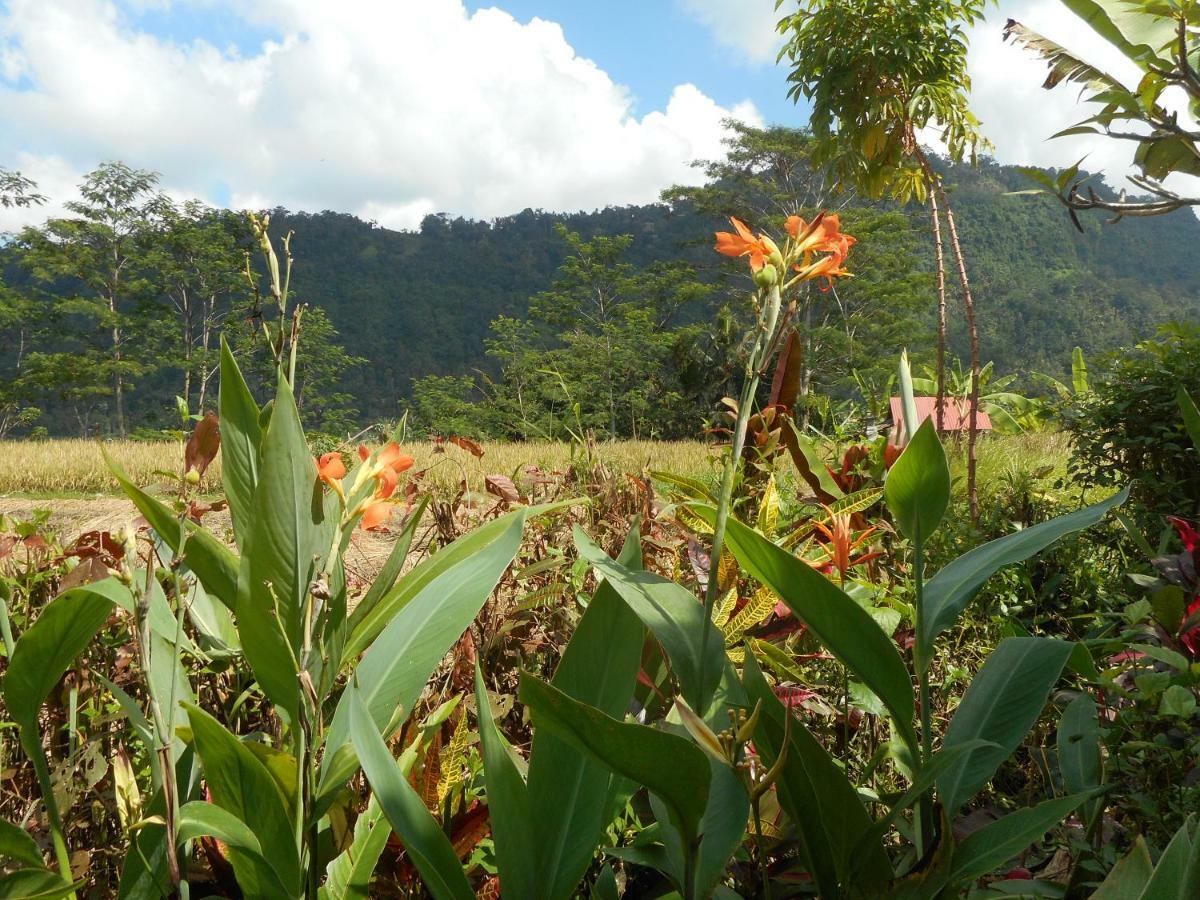 The Bukit Artha Bed & Breakfast Sidemen  Bagian luar foto