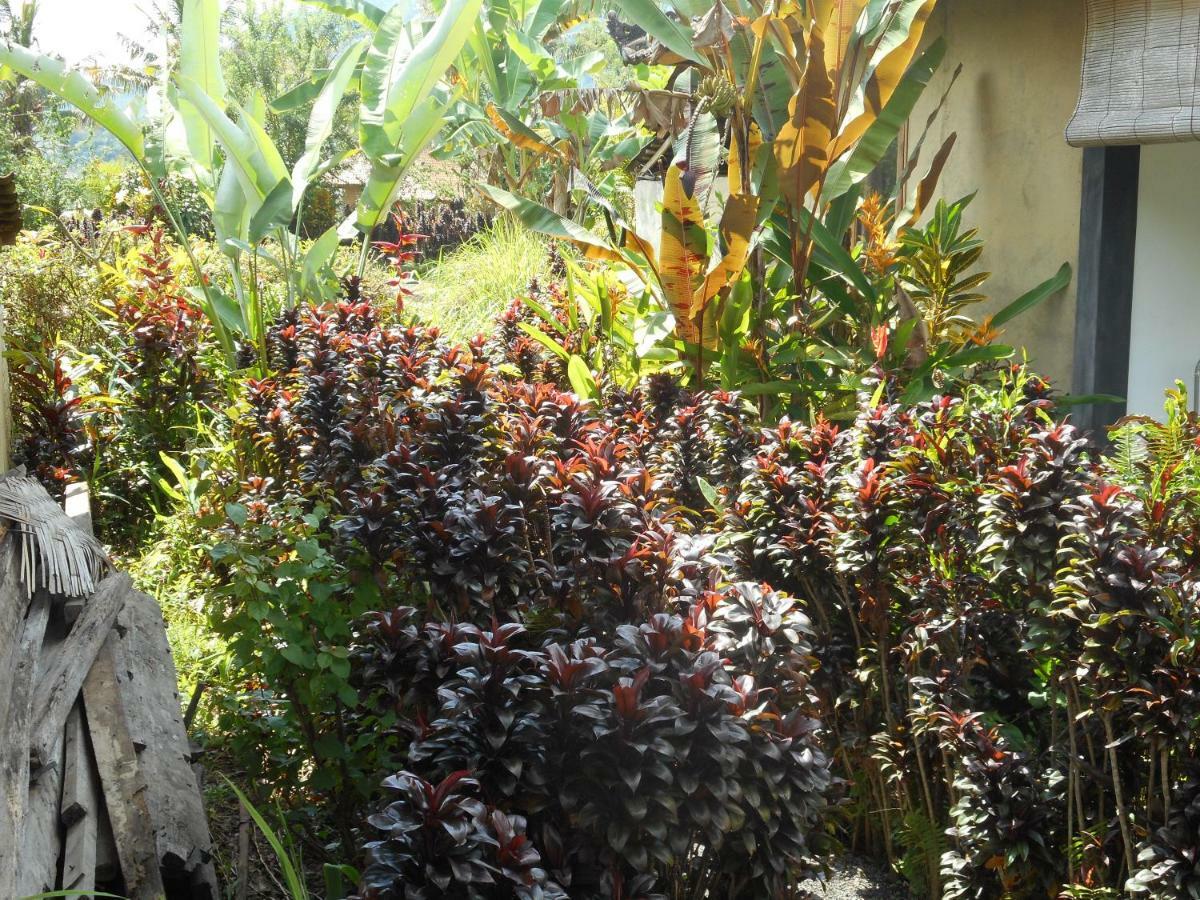 The Bukit Artha Bed & Breakfast Sidemen  Bagian luar foto
