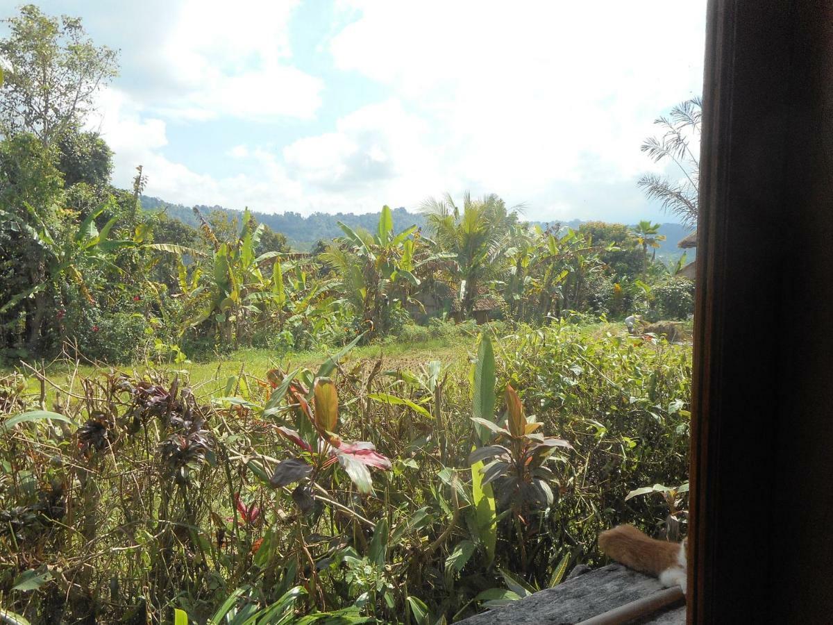 The Bukit Artha Bed & Breakfast Sidemen  Bagian luar foto