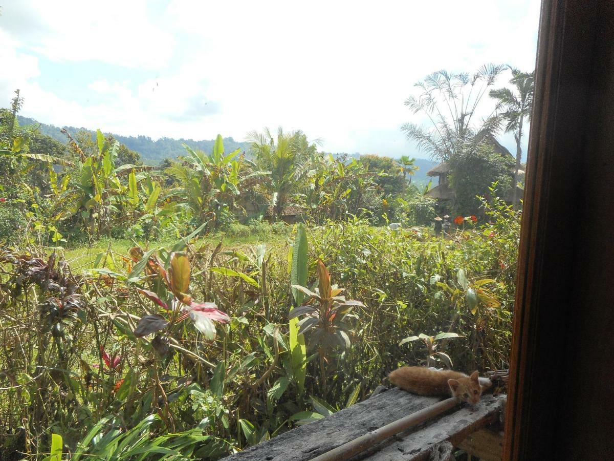 The Bukit Artha Bed & Breakfast Sidemen  Bagian luar foto