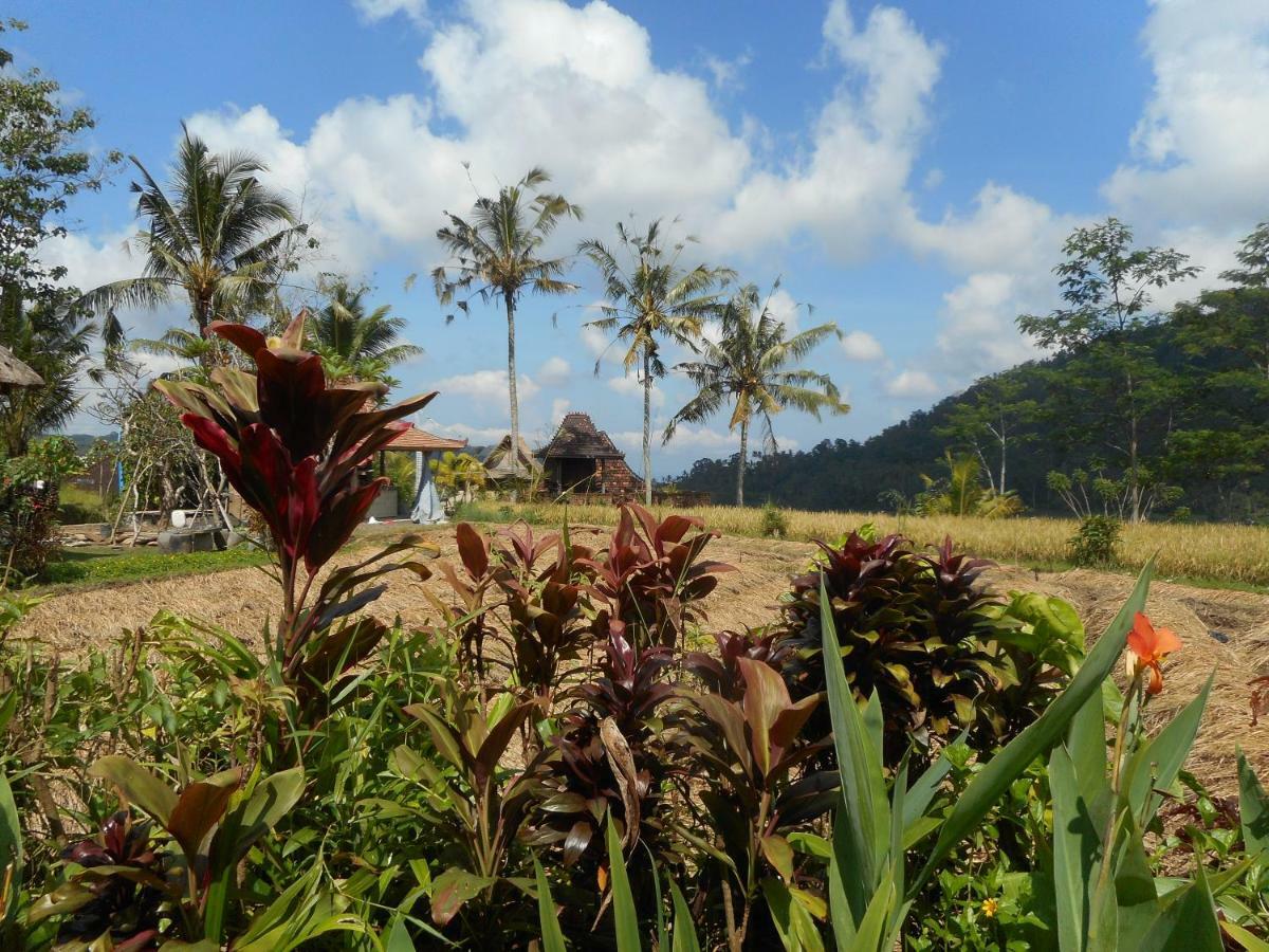 The Bukit Artha Bed & Breakfast Sidemen  Bagian luar foto